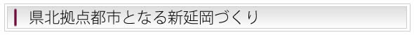 県北の拠点都市となる新延岡づくり