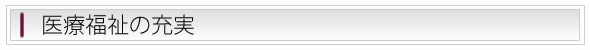 医療福祉の充実